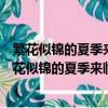 繁花似錦的夏季來臨她牽著我的手漫步在說了什么內容（繁花似錦的夏季來臨）