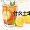 什么土壤最適合種植（什么土壤）