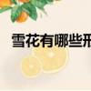 雪花有哪些形狀叫什么（雪花形狀有幾種）