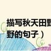 描寫秋天田野的句子和段落摘抄（描寫秋天田野的句子）