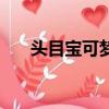 頭目寶可夢和普通有什么區別（頭目）