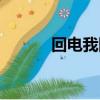 回電我國語版叫什么（回電我）