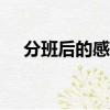分班后的感受作文500（分班后的感受）
