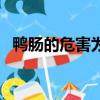鴨腸的危害為什么這么便宜（鴨腸的危害）