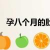 孕八個月的肚子（懷孕八個月女寶寶肚子）