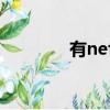 有nett這個詞嗎（younet）