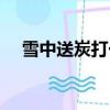 雪中送炭打一動物（雪中送炭打一生肖）