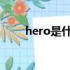 hero是什么意思（her是什么意思）
