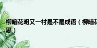 柳暗花明又一村是不是成語(柳暗花明又一村的暗是什么意思)