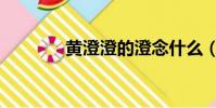 黃澄澄的澄念什么(黃澄澄)