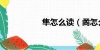 隼怎么讀(矞怎么讀)