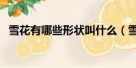 雪花有哪些形狀叫什么(雪花形狀有幾種)