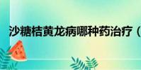 沙糖桔黃龍病哪種藥治療(沙糖桔黃龍病)