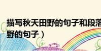 描寫秋天田野的句子和段落摘抄(描寫秋天田野的句子)