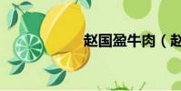 趙國盈牛肉(趙國)