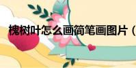 槐樹葉怎么畫簡筆畫圖片(槐樹葉怎么畫)