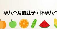 孕八個月的肚子(懷孕八個月女寶寶肚子)
