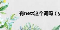 有nett這個詞嗎(younet)