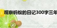 觀察螞蟻的日記300字三年級(觀察螞蟻)