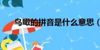 鳥瞰的拼音是什么意思(鳥瞰的拼音)