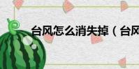 臺風怎么消失掉(臺風怎么消失)