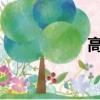 高速收費站取卡圖解