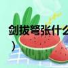 劍拔弩張什么意思竹節人（劍拔弩張什么意思）