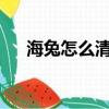 海兔怎么清洗?（海兔子怎么清洗圖解）
